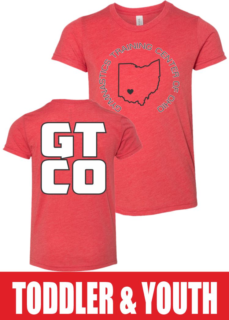 BELLA + CANVAS Youth Triblend Tee - 3413Y - 3413T 2