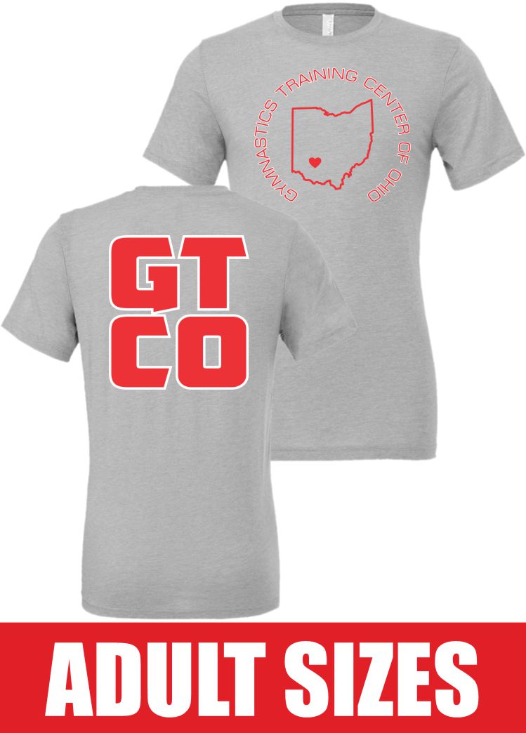 BELLA + CANVAS Triblend Tee - 3413