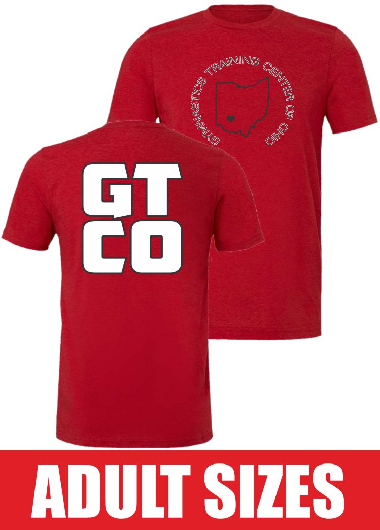 BELLA + CANVAS Triblend Tee - 3413 2