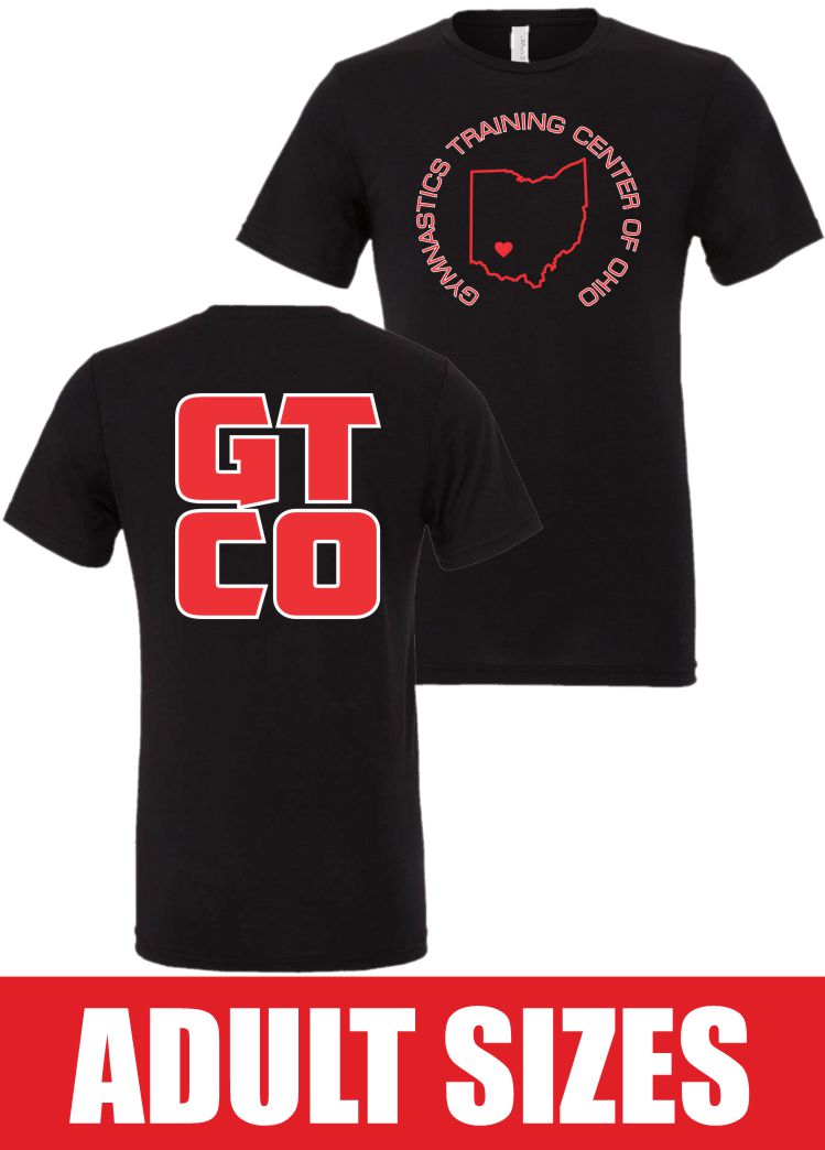 BELLA + CANVAS Triblend Tee - 3413 3